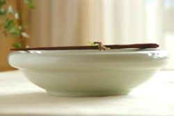ぽってり鉢(中) 横